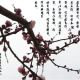 庾敬休